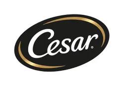 cesar